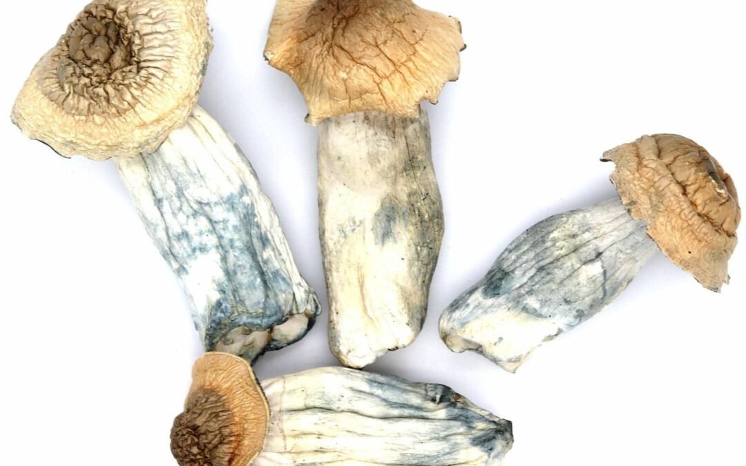 What Every First-Time Buyer Should Know About Buying or Ordering Psychedelics in the USA.