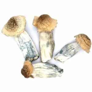 Buy Psychedelics Online In Us